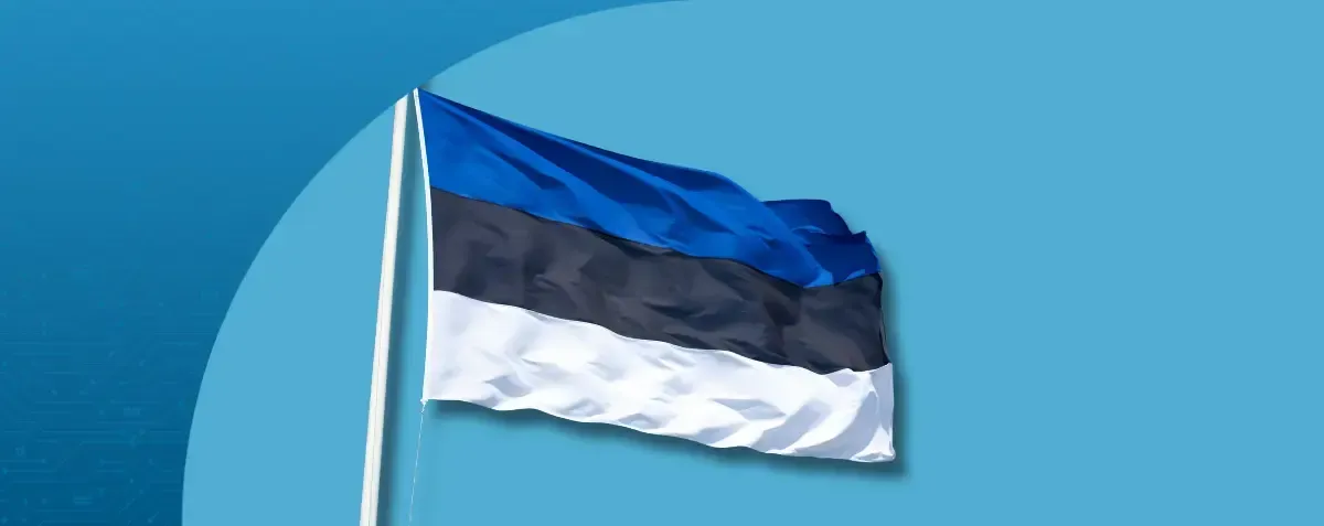 Estonian e-invoicing is coming. DDD Invoices has you covered.