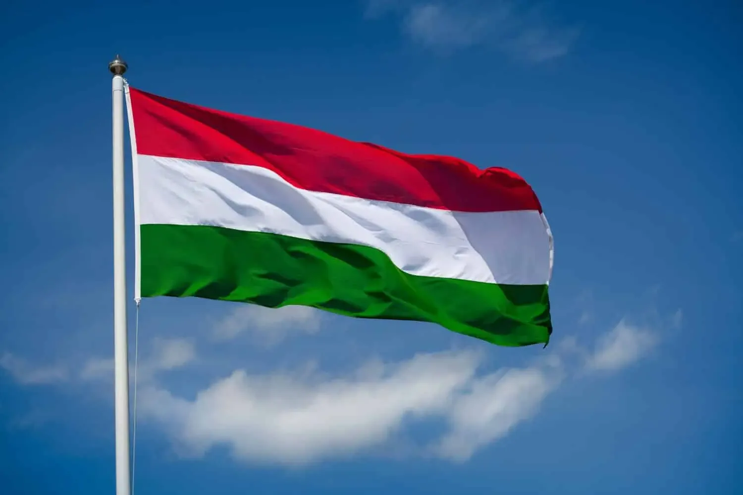 flag of Hungary by DDD Invoices