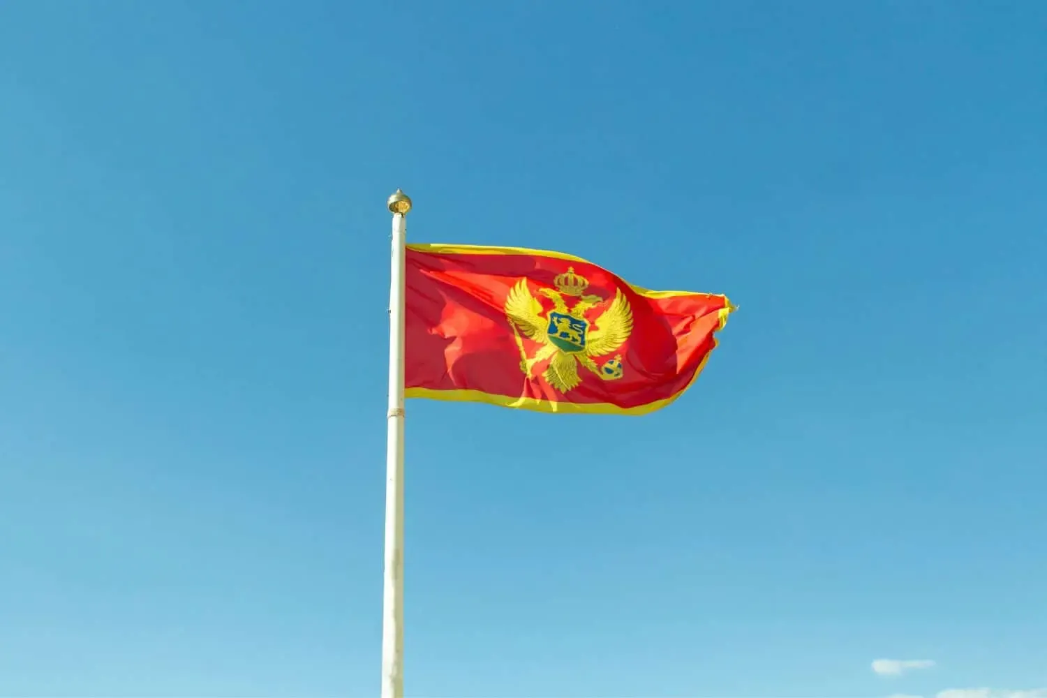 montenegro flag bY DDD invoices