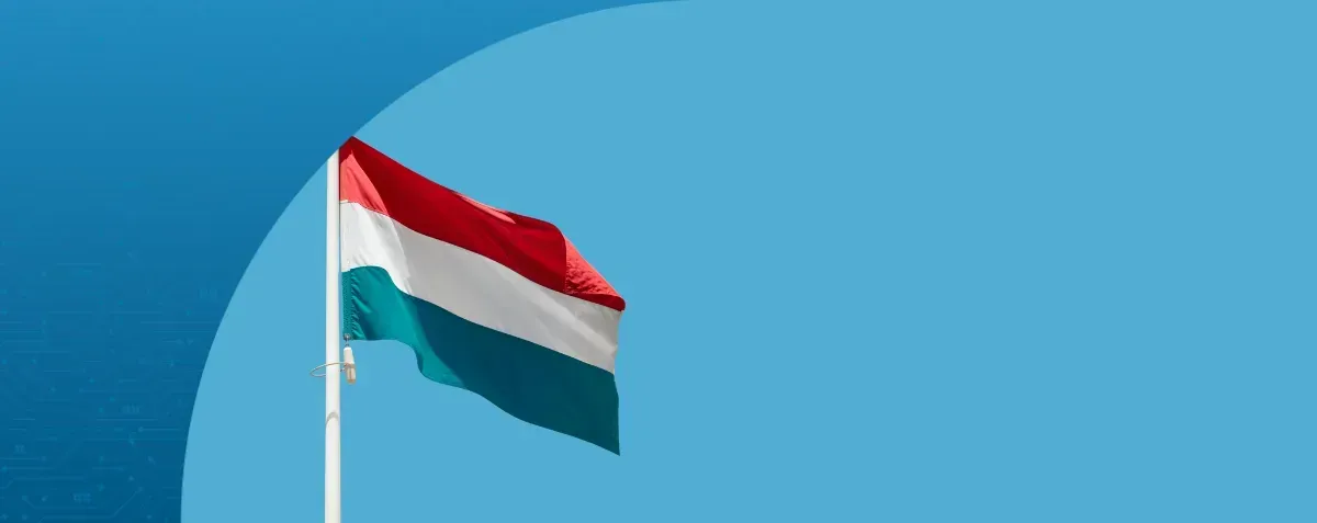 e-invoicing-luxembourg - DDD Invoices