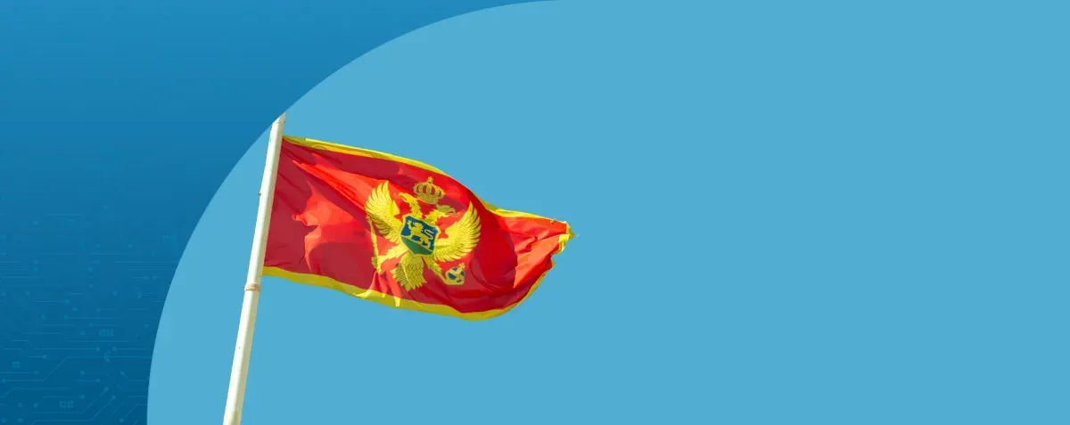 montenegro flag bY DDD invoices