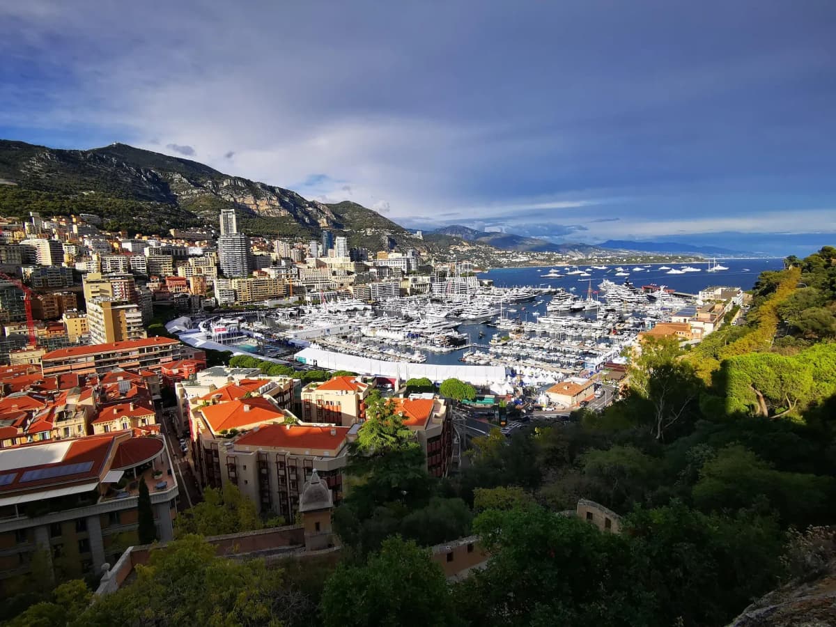 VAT compliance for businesses under Monégasque tax regulations by DDD Invoices in beautiful Monaco