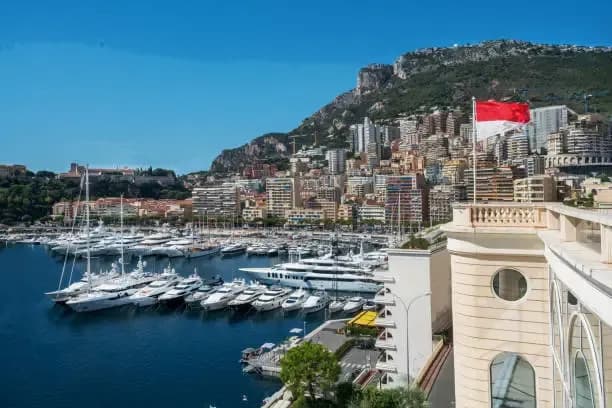 VAT compliance and fiscalization under Monégasque tax regulations supported by DDD Invoices in Monaco