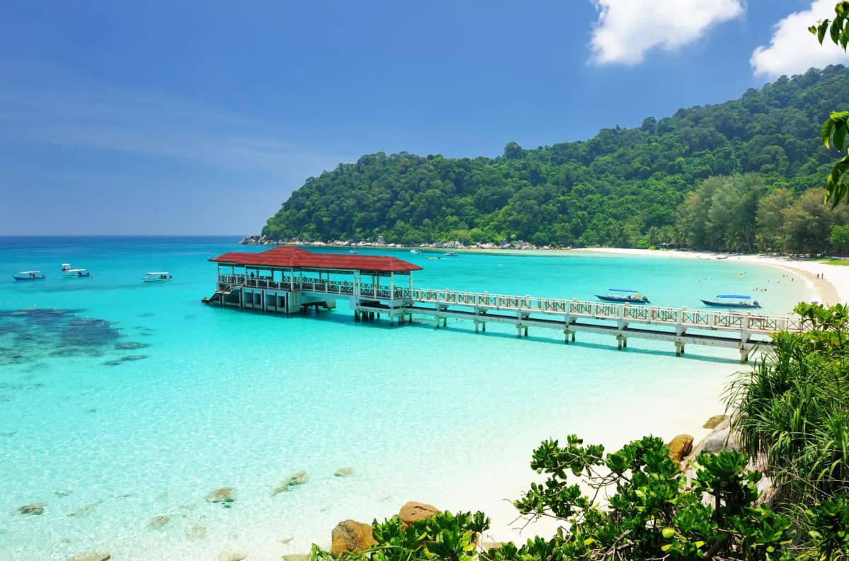 DDD Invoices supporting e-invoicing in Malaysia, with a tropical beach view featuring turquoise waters, a wooden pier, and lush green hills.