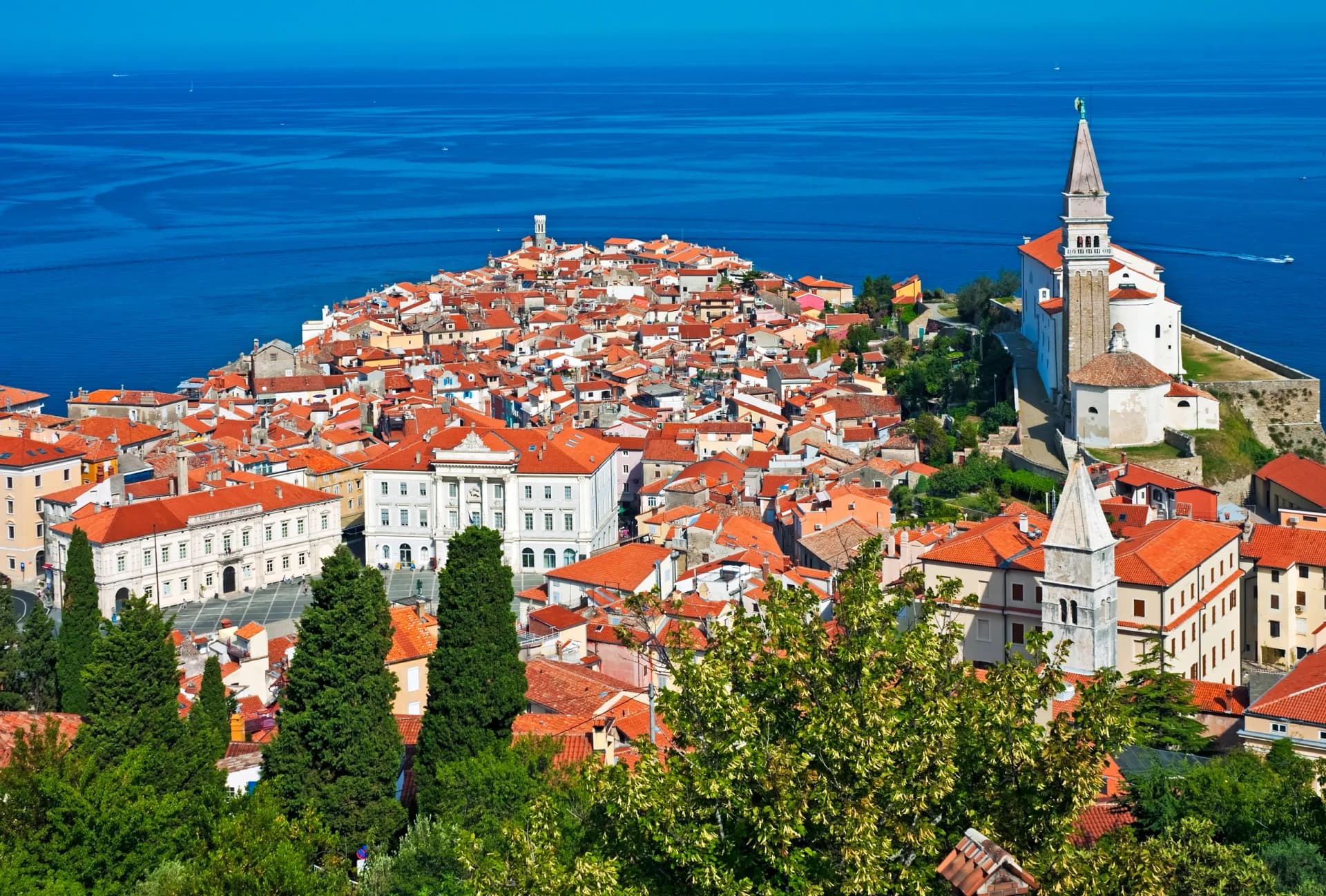 Coastal town in Slovenia with red-roofed buildings overlooking the Adriatic Sea, reflecting the country’s e-invoicing landscape supported by DDD Invoices.