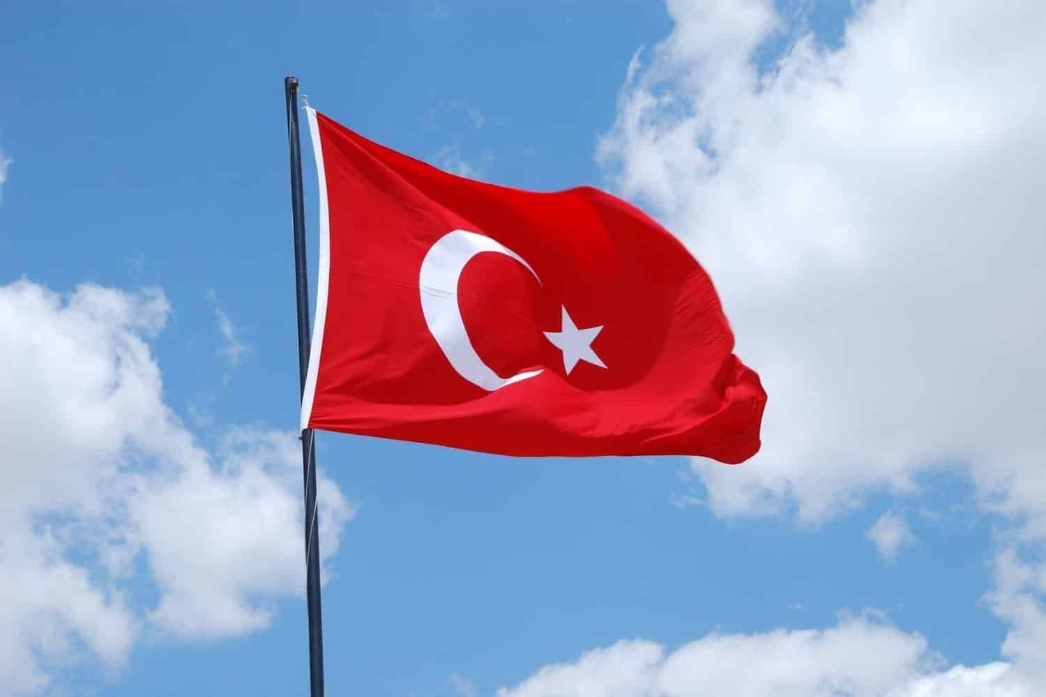 flag of Turkiye by DDD Invoices