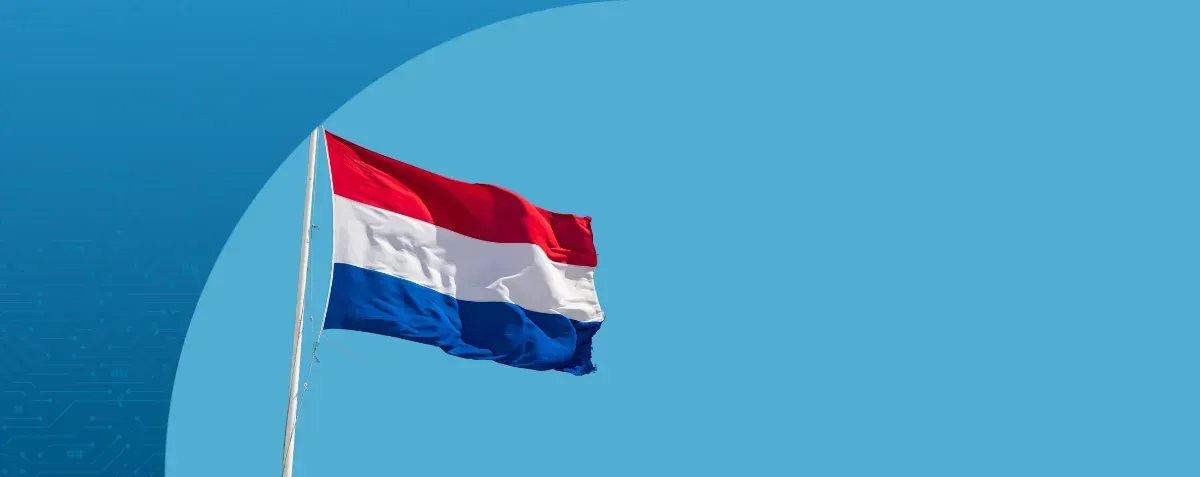 e-invoicing-netherlands - DDD Invoices