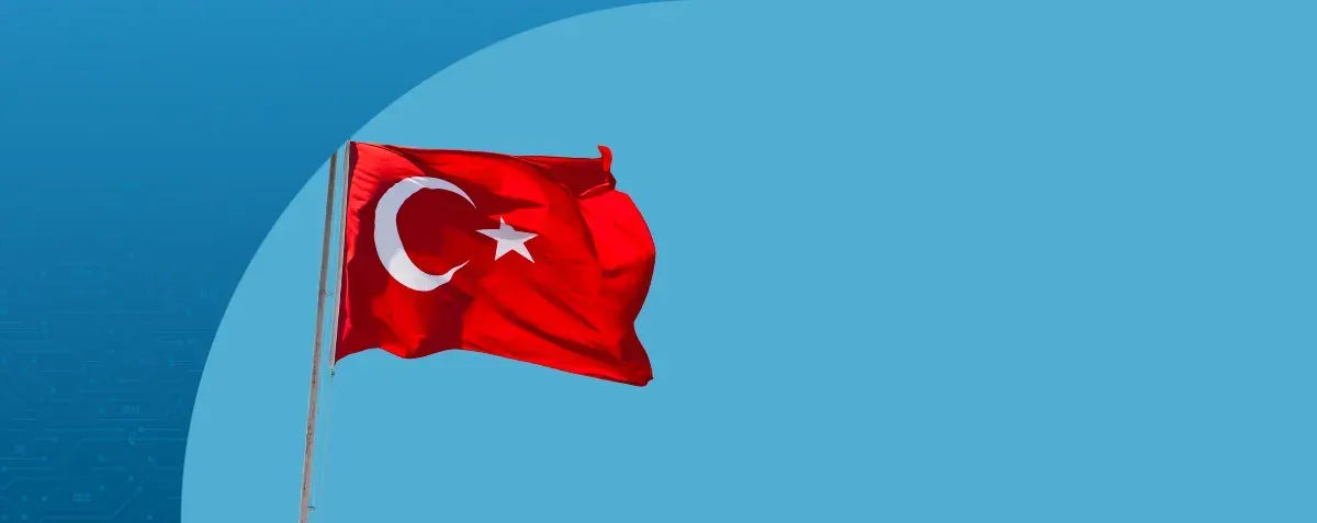 flag of Turkiye by DDD Invoices