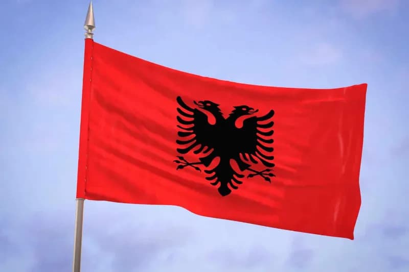 e-invoicing-albania - DDD Invoices