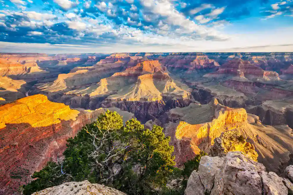 A scenic view of the Grand Canyon, United States of America!